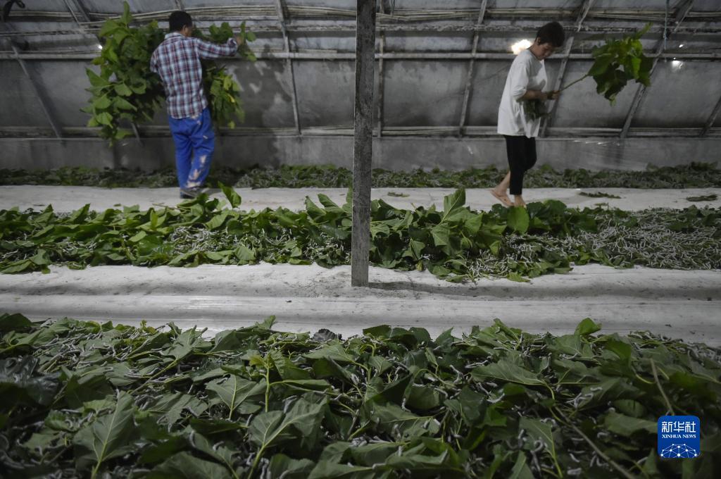 最新赌博技巧